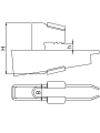 ZNP_rys.png
