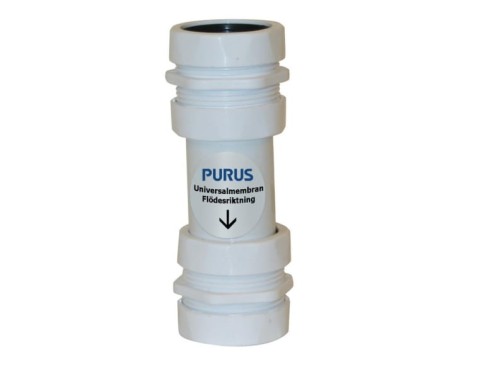 purus1.jpg
